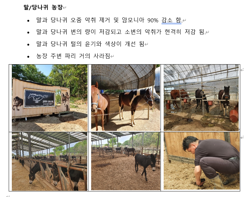말 당나귀 농장
