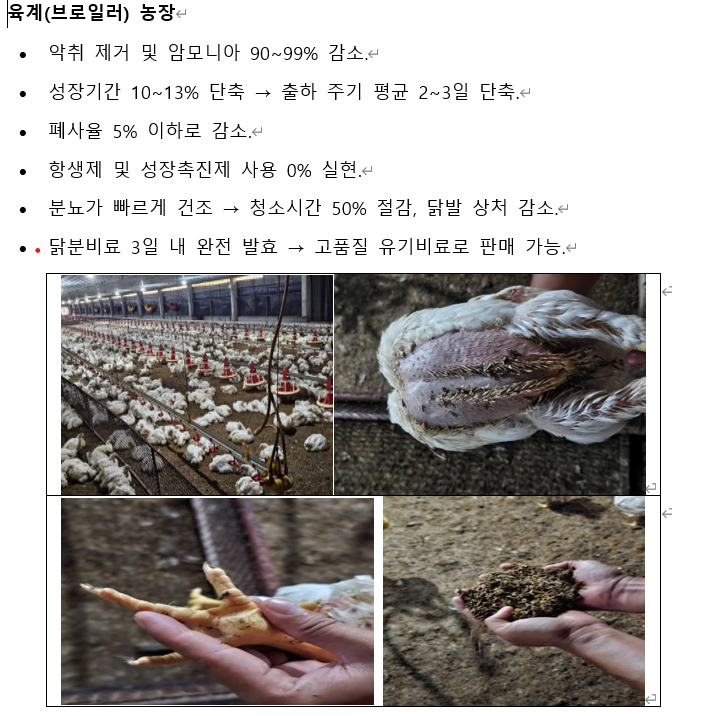 육계 브로일러 농장